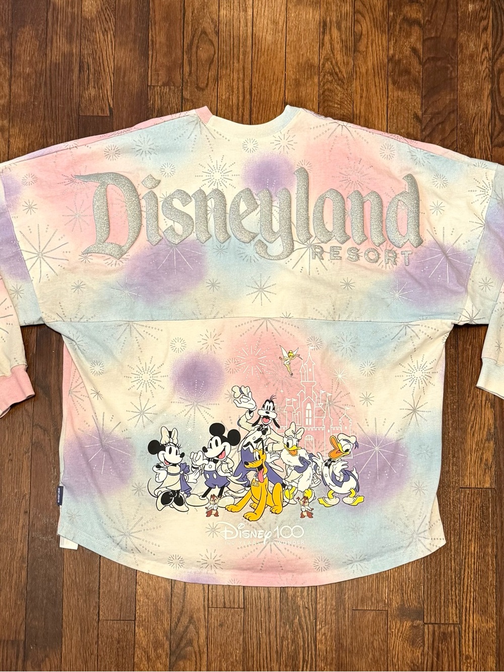 Disneyland Resort 100 Mickey Mouse & Friends Puff Print Adult Spirit Jersey
